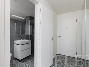 Pronájem bytu 1+kk, Praha - Radlice, U Komína, 38 m2