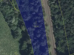 Prodej lesa, Žďárek, 2486 m2