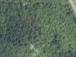 Prodej podílu louky, Jankovice, 4420 m2