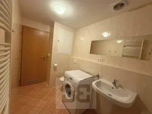 Pronájem bytu 2+kk, Praha - Holešovice, V háji, 44 m2