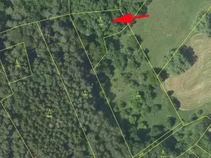 Prodej lesa, Borotín, 1374 m2