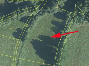 Prodej pole, Bernartice, 4370 m2