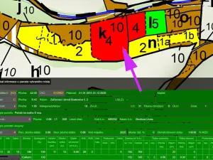 Prodej lesa, Malá Roudka, 7247 m2