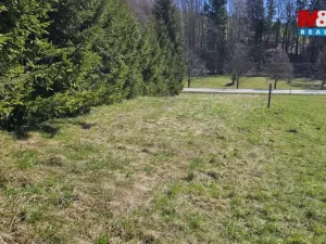 Prodej louky, Rokytnice v Orlických horách, 609 m2