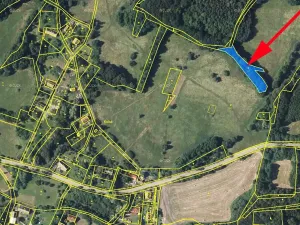 Prodej lesa, Stvolínky, 1713 m2