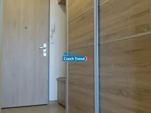 Pronájem bytu 1+kk, Olomouc, Čajkovského, 30 m2