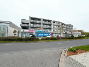 Pronájem bytu 1+kk, Olomouc, Čajkovského, 30 m2