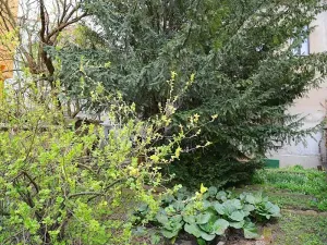 Prodej rodinného domu, Kralupy nad Vltavou, Jana Palacha, 132 m2