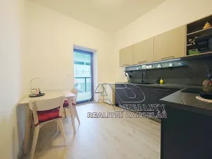 Pronájem bytu 1+kk, České Budějovice, Fráni Šrámka, 40 m2
