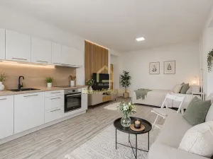 Prodej bytu 1+1, Ostrava, Alšovo náměstí, 51 m2