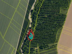 Prodej lesa, Kroměříž, 1674 m2