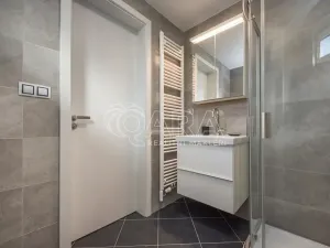 Pronájem bytu 1+kk, Praha - Chodov, Švabinského, 25 m2