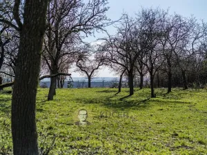 Prodej pozemku pro bydlení, Střemy, 3158 m2