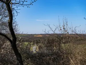 Prodej pozemku pro bydlení, Střemy, 3158 m2