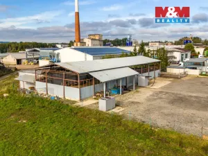 Prodej obchodního prostoru, Veselí nad Lužnicí, Třída Čs. armády, 4001 m2