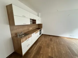 Pronájem bytu 1+kk, Děčín, Na Slatinách, 29 m2