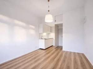 Pronájem bytu 1+kk, Praha - Holešovice, Na Maninách, 22 m2