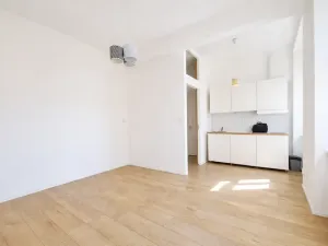 Pronájem bytu 1+kk, Praha - Holešovice, Na Maninách, 31 m2