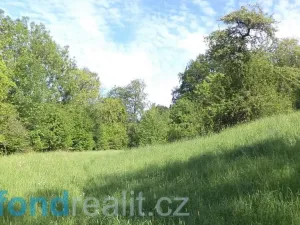 Prodej pole, Děčín - Děčín XXXIV-Chlum, 15764 m2