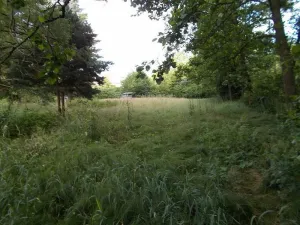 Prodej louky, Velký Šenov - Leopoldka, 3266 m2