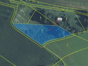 Dražba lesa, Trpík, 3972 m2