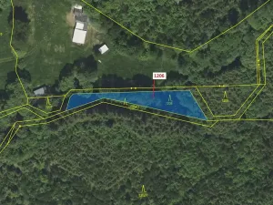 Dražba lesa, Čestín, 795 m2