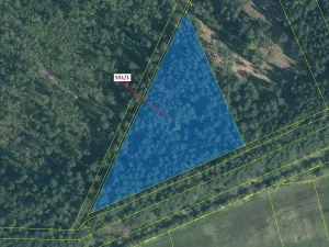 Dražba lesa, Suchdol nad Lužnicí, 9131 m2