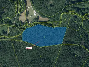 Dražba lesa, Čestín, 13976 m2