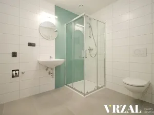 Pronájem bytu 3+kk, Plzeň, Francouzská třída, 57 m2