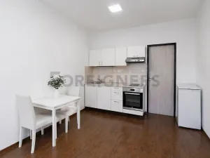 Pronájem bytu 1+kk, Brno, Bratislavská, 25 m2