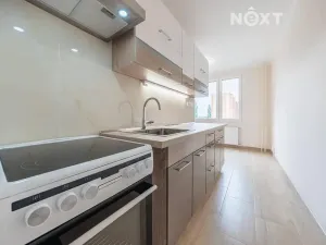 Pronájem bytu 2+1, Žatec, Družstevní, 67 m2