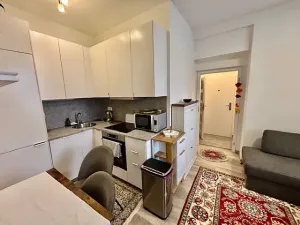 Pronájem bytu 2+kk, Praha, Sokolovská, 45 m2