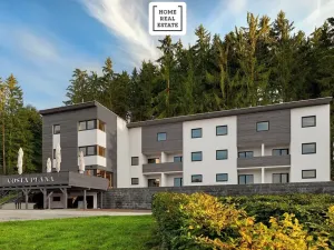 Prodej bytu 2+kk, Černá v Pošumaví, 36 m2