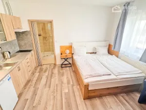 Pronájem bytu 1+kk, Světice, 28 m2