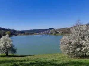 Prodej zahrady, Koryčany, 523 m2