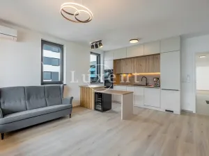 Pronájem bytu 3+kk, Praha - Žižkov, Olgy Havlové, 73 m2