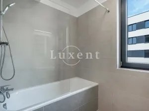 Pronájem bytu 3+kk, Praha - Žižkov, Olgy Havlové, 73 m2