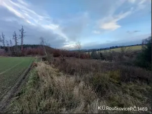 Prodej lesa, Pacov, 10995 m2