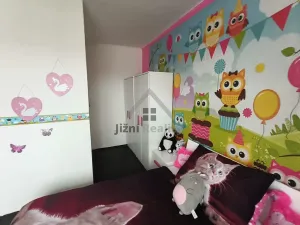 Prodej činžovního domu, České Velenice, Komenského, 450 m2