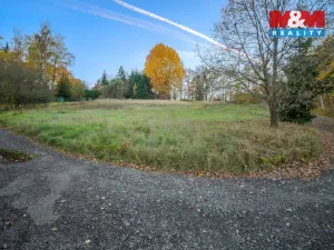 Prodej pozemku pro bydlení, Vlašim - Nesperská Lhota, 1000 m2