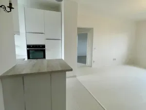 Prodej bytu 3+kk, Olomouc - Hejčín, Erenburgova, 75 m2