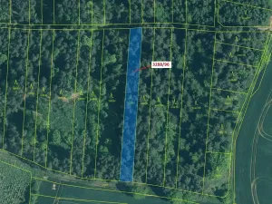 Dražba lesa, Hosty, 1630 m2