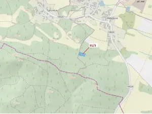 Dražba lesa, Pačejov, 1958 m2