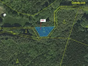 Dražba lesa, Čestín, 518 m2