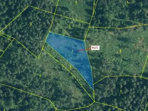 Dražba lesa, Pačejov, 3251 m2