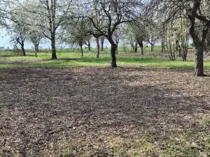 Prodej pozemku, Jenišovice, 871 m2