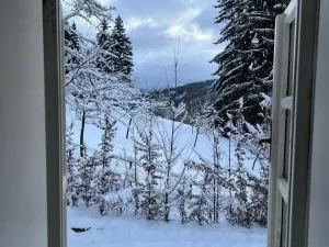 Prodej rodinného domu, Jiřetín pod Bukovou, 115 m2