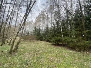 Prodej pozemku, Volfířov - Brandlín, 5958 m2