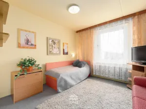 Prodej bytu 3+1, Velké Opatovice, Hliníky, 75 m2