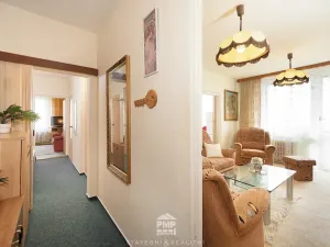 Prodej bytu 3+1, Velké Opatovice, Hliníky, 75 m2